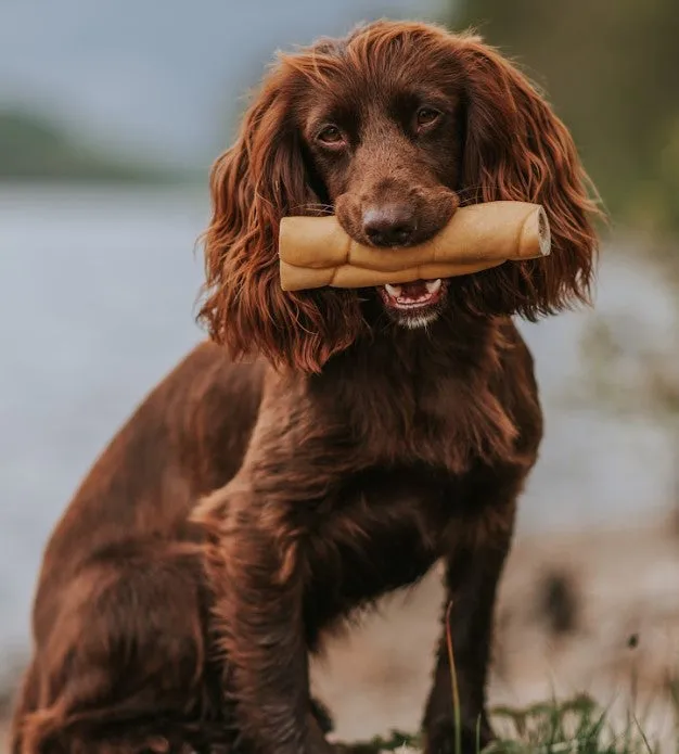 Anco Naturals Buffalo Roll Medium Dog Natural Chew Treat