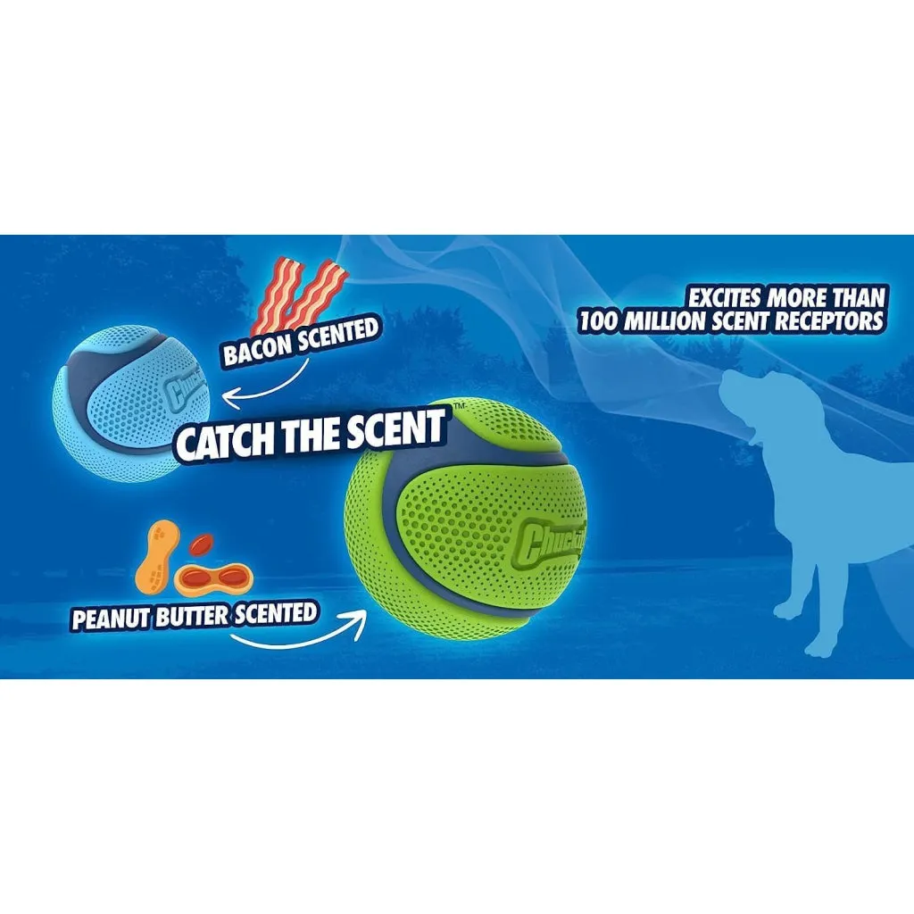 Chuckit! Sniff Fetch Scented Rubber Ball Toy For Dogs