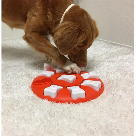 dog smart puzzle toy - plastic