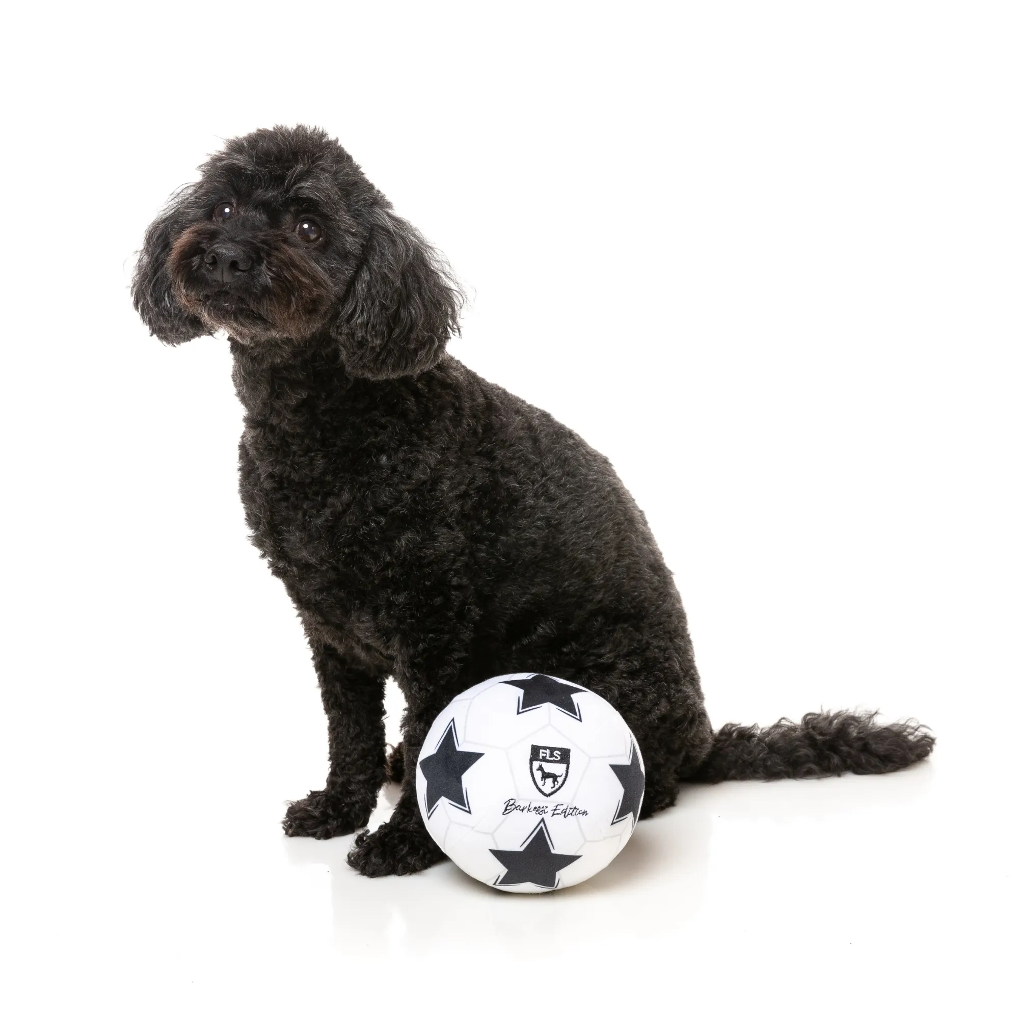 FuzzYard Soccer Ball Dog Toy