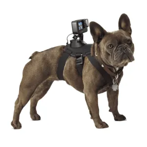 GoPro Fetch Dog Harness