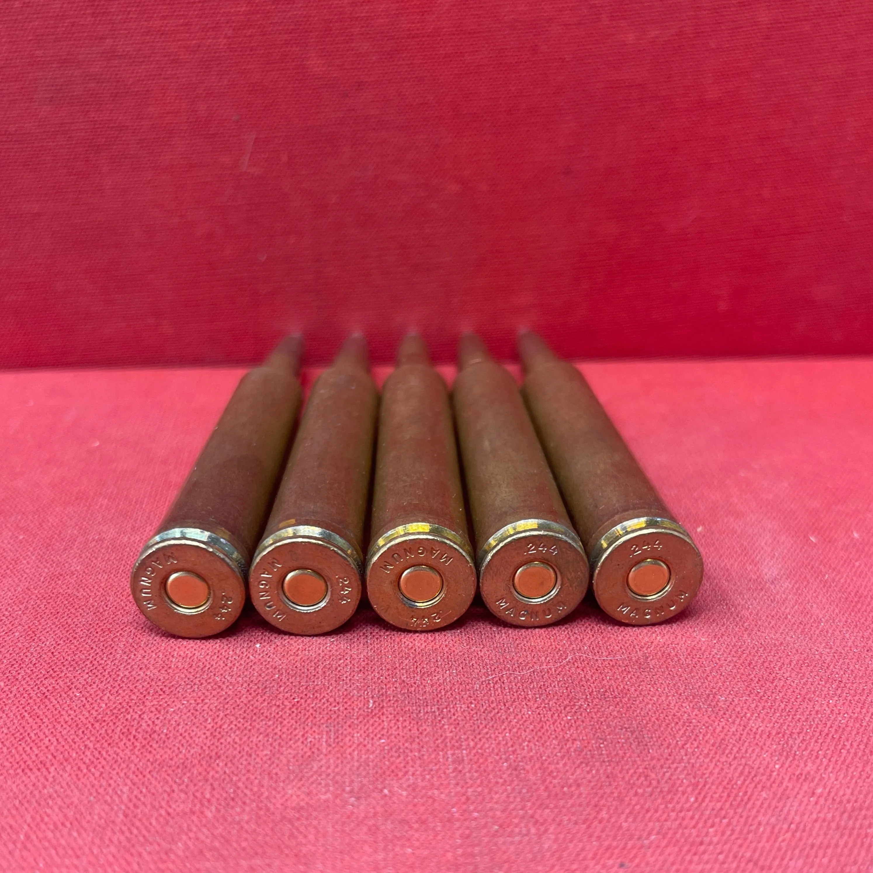 Hollands .244 H&H Magnum Cartridges