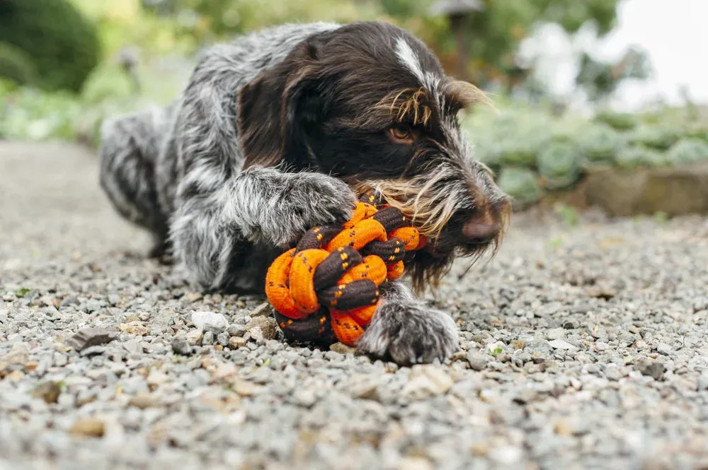 Honeycomb Rope Toy