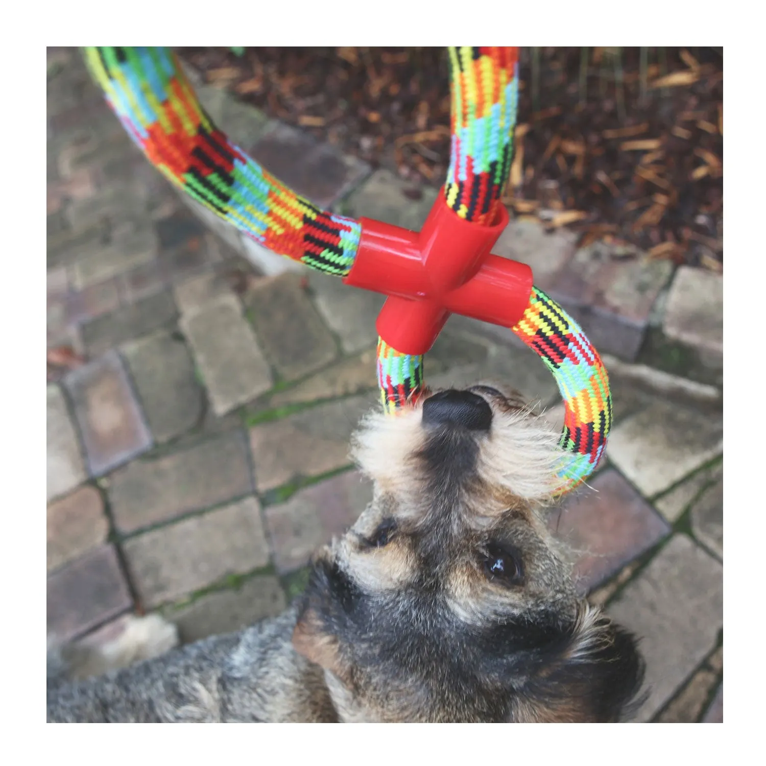 Kazoo Braided Rope Figure 8 Tug Dog Toy