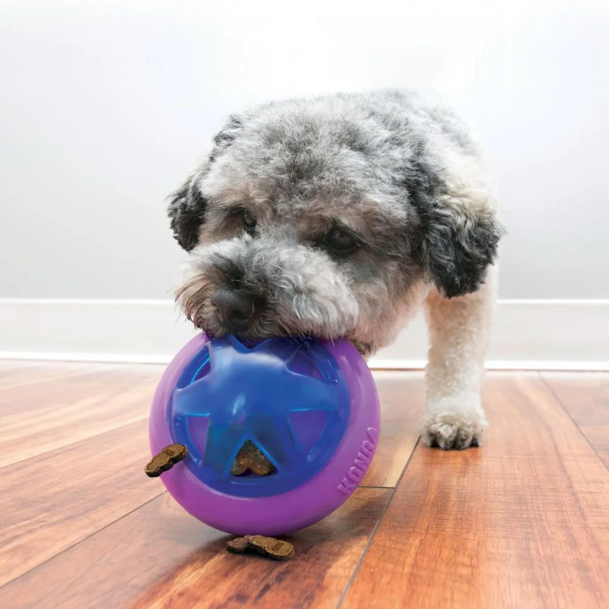 KONG® Hopz Treat Ball Dog Toy