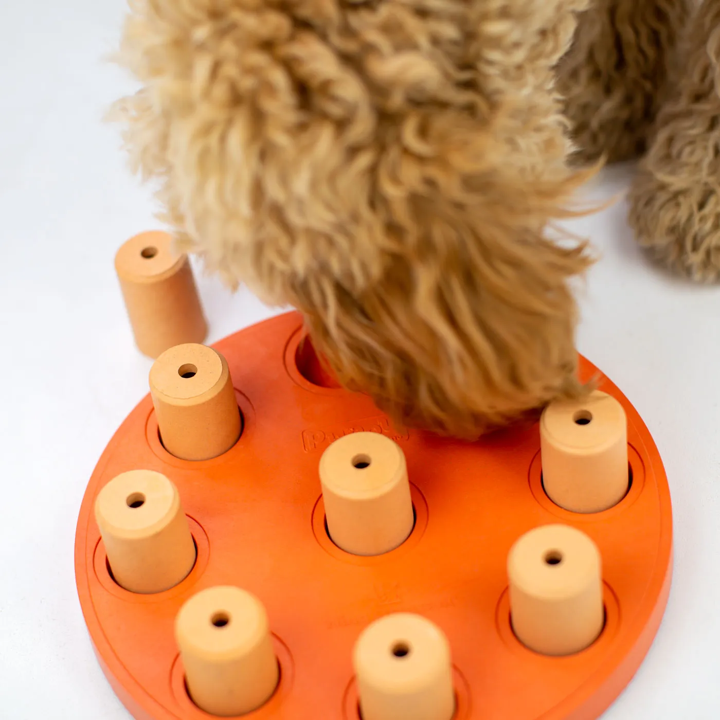 Nina Ottosson Dog Smart Composite Puzzle