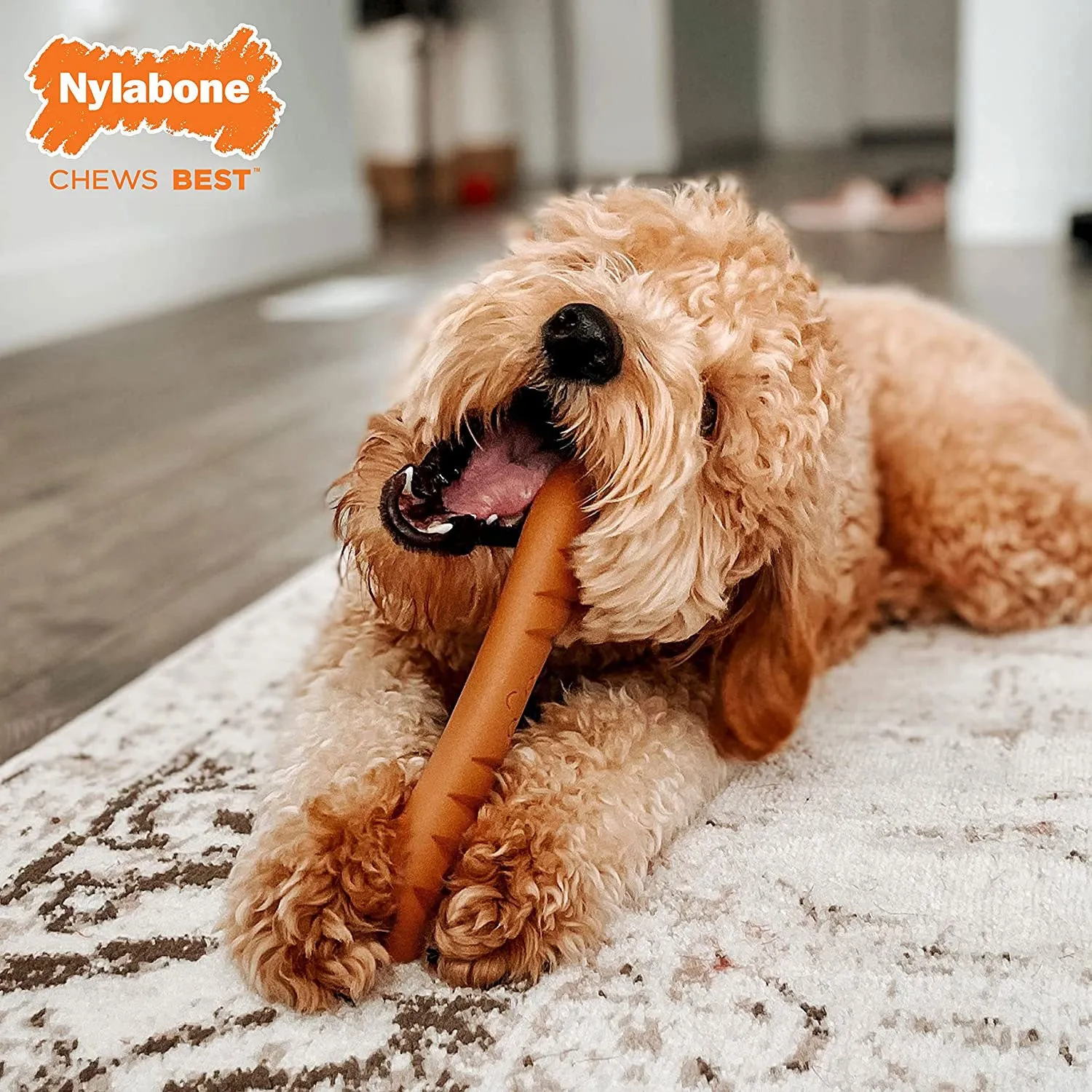 Nylabone Power Chew Baguette