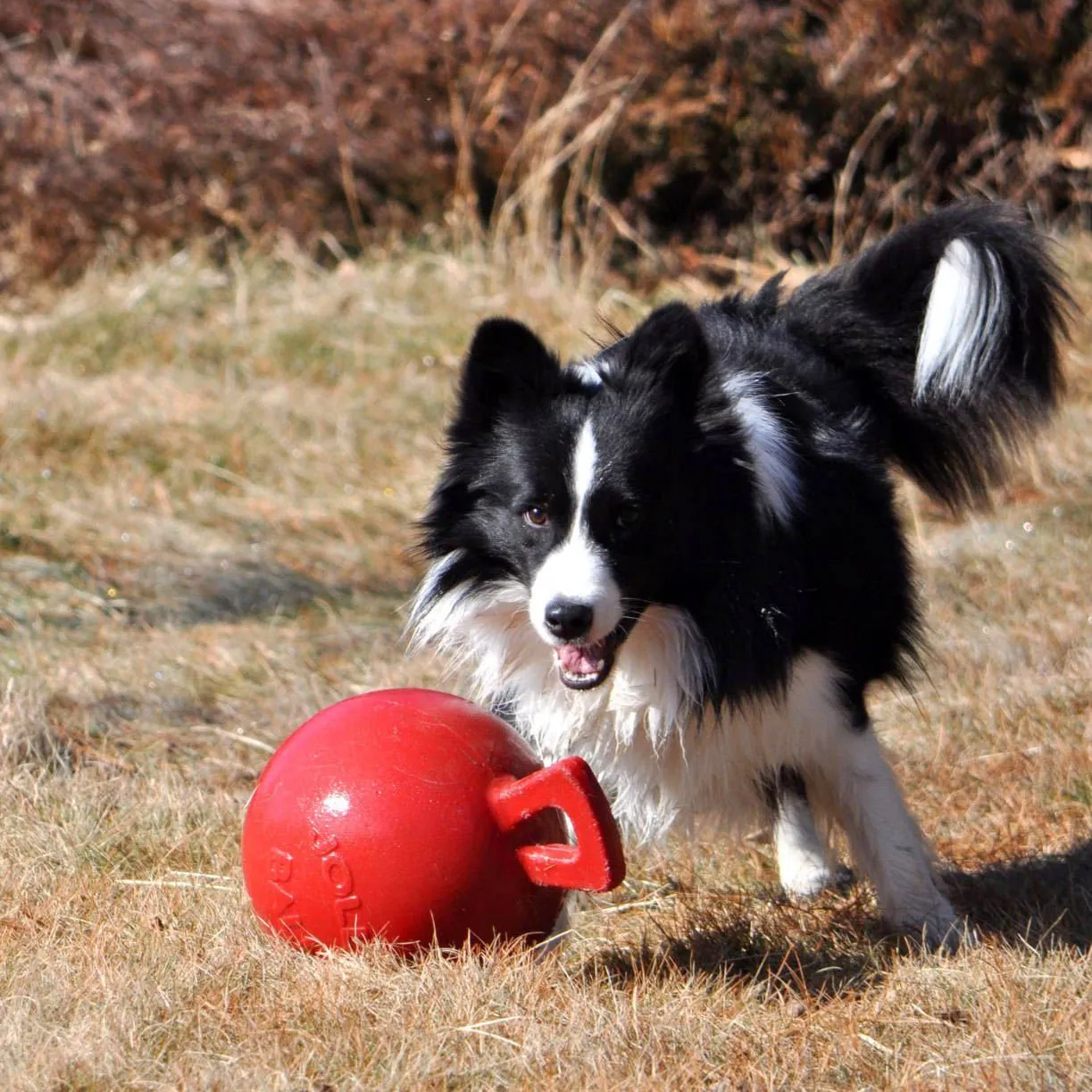 Toss-n-Tug Jolly Ball