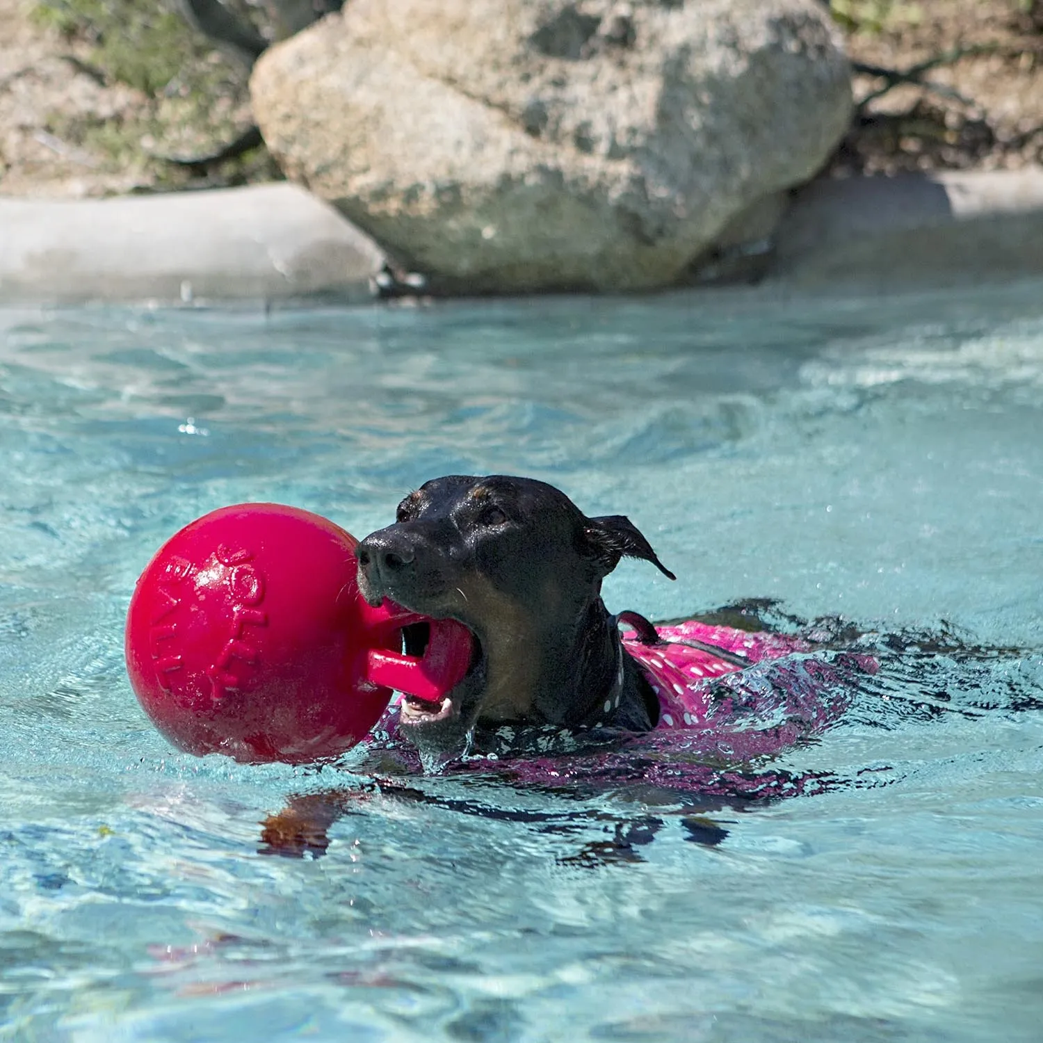 Toss-n-Tug Jolly Ball