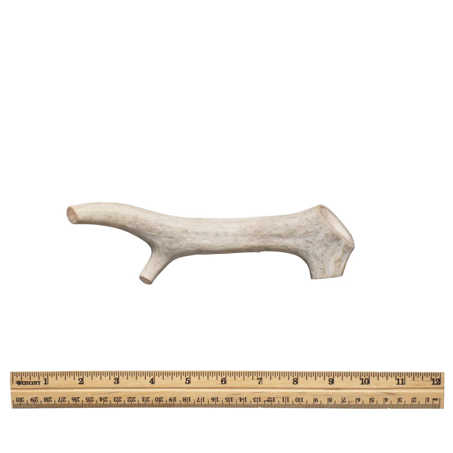 Whole Antler