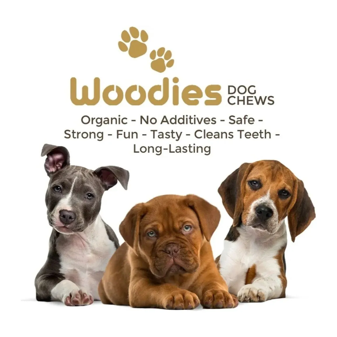 Woodies - Coffee Wood Dog Chews