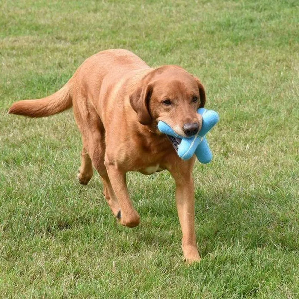 Zoon 15cm Squeaky Pooch Jack